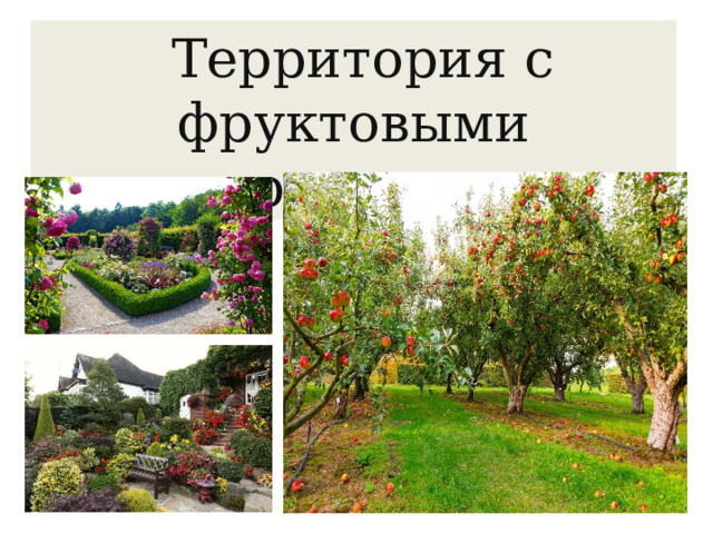 Территория с фруктовыми деревьями.  