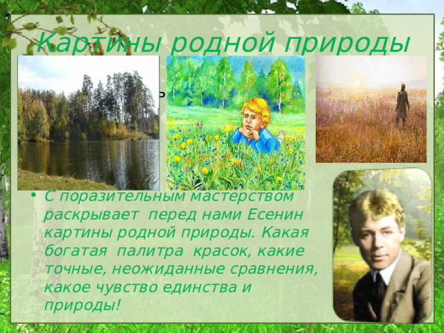 Картины родной природы С поразительным С поразительным мастерством раскрывает перед нами Есенин картины родной природы. Какая богатая палитра красок, какие точные, неожиданные сравнения, какое чувство единства и природы! 