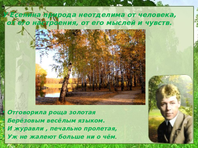 У Есенина природа неотделима от человека, от его настроения, от его мыслей и чувств. Отговорила роща золотая Берёзовым весёлым языком. И журавли , печально пролетая, Уж не жалеют больше ни о чём . 