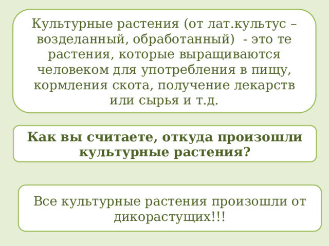 Культурные растения (от лат.культус – возделанный, обработанный) - это те растения, которые выращиваются человеком для употребления в пищу, кормления скота, получение лекарств или сырья и т.д.  Как вы считаете, откуда произошли культурные растения? Все культурные растения произошли от дикорастущих!!! 