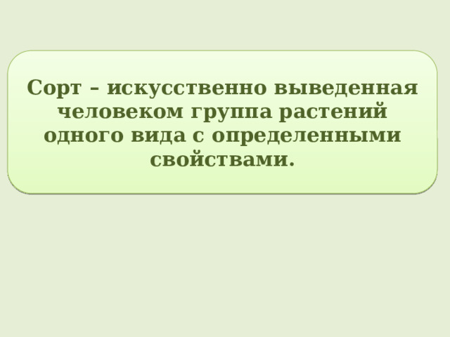 Сорт – искусственно выведенная человеком группа растений одного вида с определенными свойствами. 