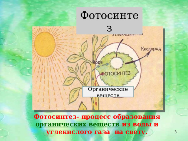 Фотосинтез Органические веществ Фотосинтез- процесс образования органических веществ из воды и углекислого газа на свету.   
