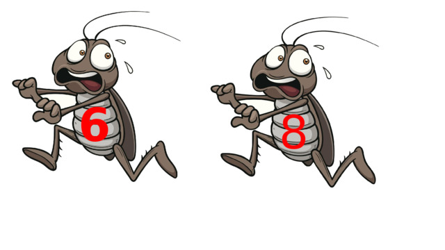 6 8 