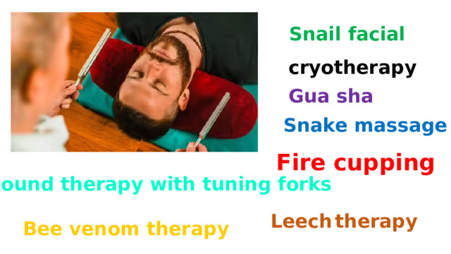 Snail facial cryotherapy Gua sha Snake massage Fire cupping Sound therapy with tuning forks Leech  therapy Bee venom therapy 