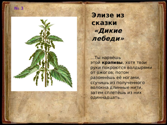 № 3 Элизе из сказки  «Дикие лебеди» … Ты нарвёшь этой  крапивы , хотя твои руки покроются волдырями от ожогов; потом разомнёшь её ногами, ссучишь из полученного волокна длинные нити, затем сплетёшь из них одиннадцать... 
