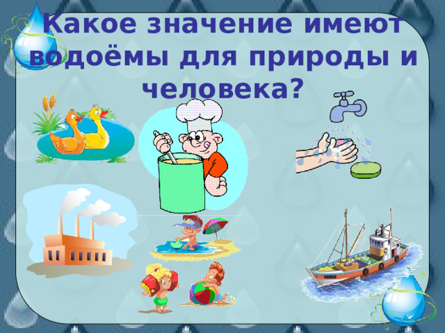 Какое значение имеют водоёмы для природы и человека? 