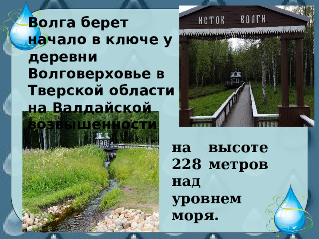 Волга берет начало в ключе у деревни Волговерховье в Тверской области на Валдайской возвышенности на высоте 228 метров над уровнем моря. 