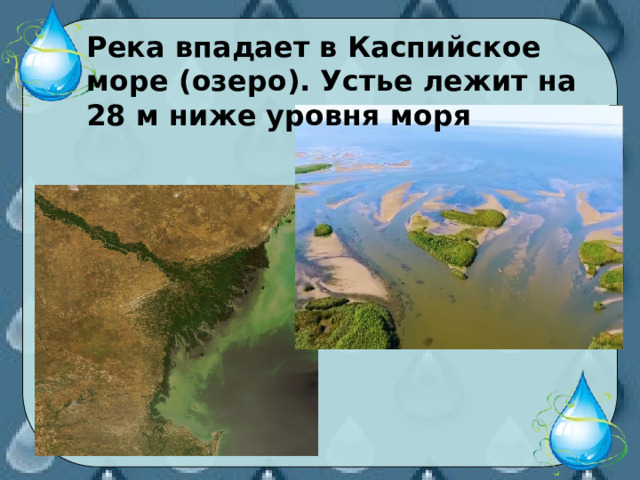 Река впадает в Каспийское море (озеро). Устье лежит на 28 м ниже уровня моря 