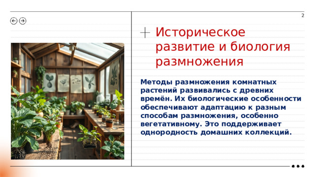 2 Историческое развитие и биология размножения Методы размножения комнатных растений развивались с древних времён. Их биологические особенности обеспечивают адаптацию к разным способам размножения, особенно вегетативному. Это поддерживает однородность домашних коллекций.   
