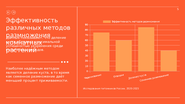 5 Эффективность различных методов размножения комнатных растений Данные показывают, что деление куста обладает максимальной успешностью укоренения среди популярных методов. Наиболее надёжным методом является деление куста, в то время как семенное размножение даёт меньший процент приживаемости. Исследования питомников России, 2020-2023  