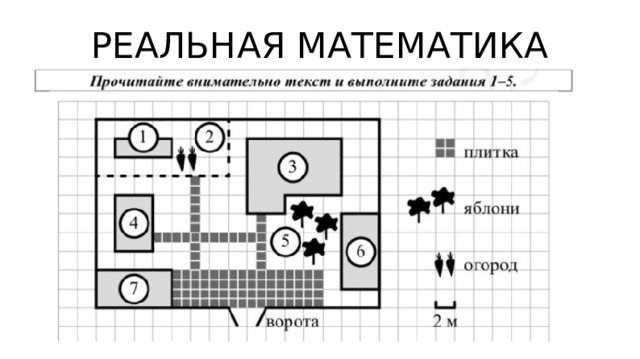 РЕАЛЬНАЯ МАТЕМАТИКА 