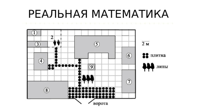 РЕАЛЬНАЯ МАТЕМАТИКА 