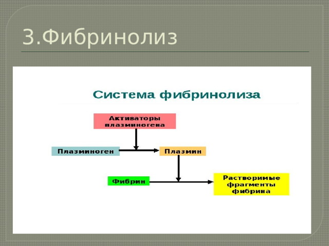 3.Фибринолиз 