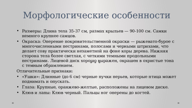 Морфологические особенности   Размеры: Длина тела 35-37 см, размах крыльев — 90-100 см. Самки немного крупнее самцов. Окраска: Оперение покровительственной окраски — рыжевато-бурое с многочисленными пестринами, полосами и черными штрихами, что делает сову практически незаметной на фоне коры дерева. Нижняя сторона тела более светлая, с четкими темными продольными пестринами. Лицевой диск хорошо выражен, окрашен в охристые тона с темным обрамлением. Отличительные признаки: «Ушки»: Длинные (до 6 см) черные пучки перьев, которые птица может поднимать и опускать. Глаза: Крупные, оранжево-желтые, расположены на лицевом диске. Клюв и лапы: Клюв черный. Пальцы ног оперены до когтей. 