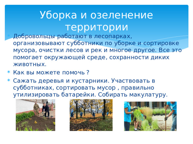 Уборка и озеленение территории Добровольцы работают в лесопарках, организовывают субботники по уборке и сортировке мусора, очистки лесов и рек и многое другое. Все это помогает окружающей среде, сохранности диких животных. Как вы можете помочь ? Сажать деревья и кустарники. Участвовать в субботниках, сортировать мусор , правильно утилизировать батарейки. Собирать макулатуру. 