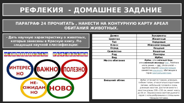 РЕФЛЕКИЯ - ДОМАШНЕЕ ЗАДАНИЕ ПАРАГРАФ 24 ПРОЧИТАТЬ , НАНЕСТИ НА КОНТУРНУЮ КАРТУ АРЕАЛ ОБИТАНИЯ ЖИВОТНЫХ. - Дать научную характеристику о животных, которые занесены в Красную книгу. По следующей научной классификации: Домен Эукариоты Царство Животные Тип Хордовые Класс Млекопитающие Отряд Хищные Семейство Кошачьи Род Пантеры Вид Ирбис Место обитание Внешний облик И́рбис , или  сне́жный барс , или  снежный леопард ]  ( лат.   Panthera uncia , ранее —  лат.   Uncia uncia ) — крупное хищное  млекопитающее  семейства  кошачьих , обитающее в горах  Центральной Азии . Ирбис отличается тонким, длинным, гибким телом, относительно короткими лапами, небольшой головой и очень длинным хвостом. Достигая вместе с хвостом длины 200—230 см, имеет массу до 55 кг. Окраска меха светлая дымчато-серая с кольцеобразными и сплошными тёмными пятнами.   