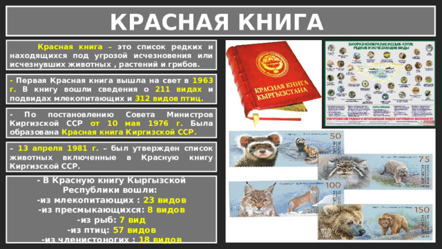КРАСНАЯ КНИГА  Красная книга – это список редких и находящихся под угрозой исчезновения или исчезнувших животных , растений и грибов. - Первая Красная книга вышла на свет в 1963 г. В книгу вошли сведения о 211 видах и подвидах млекопитающих и 312 видов птиц. - По постановлению Совета Министров Киргизской ССР от 10 мая 1976 г. Была образована Красная книга Киргизской ССР. – 13 апреля 1981 г. – был утвержден список животных включенные в Красную книгу Киргизской ССР. - В Красную книгу Киргизской ССР вошли: - В Красную книгу Кыргызской Республики вошли: -из млекопитающих : 13 видов -из млекопитающих : 23 видов -из пресмыкающихся: 3 видов -из пресмыкающихся: 8 видов -из рыб: 7 вид -из рыб: 1 вид -из птиц: 20 видов -из птиц: 57 видов -из членистоногих : 18 видов 