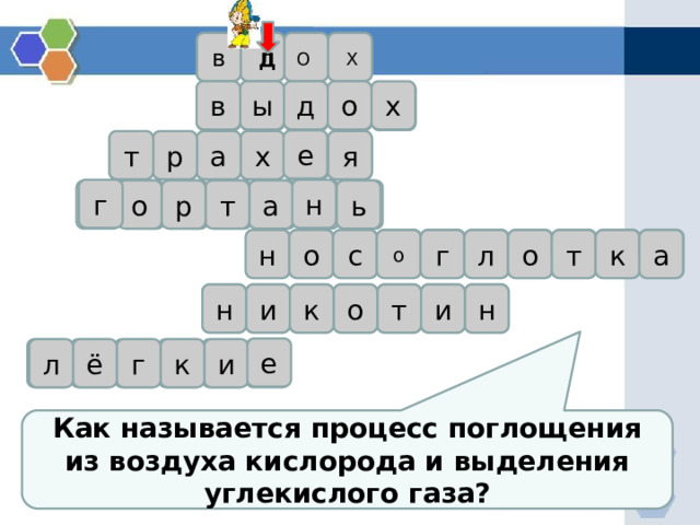в О Д Х в ы д о х е а р я х т г н ь а т о р о а к т о л о с н г н н к о и т и е и к г ё л Как называется процесс поглощения из воздуха кислорода и выделения углекислого газа? 