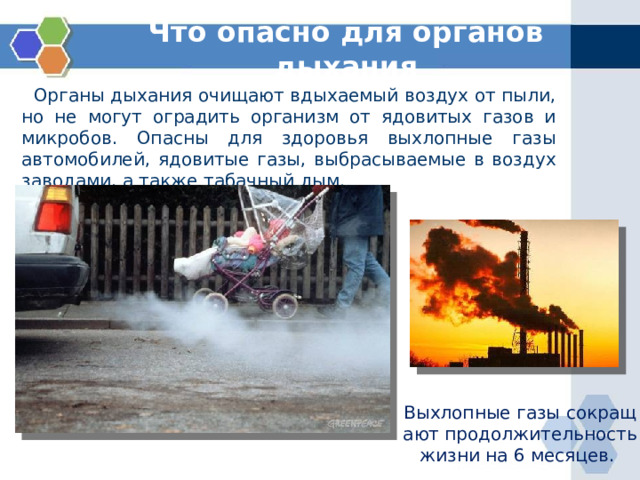Что опасно для органов дыхания  Органы дыхания очищают вдыхаемый воздух от пыли, но не могут оградить организм от ядовитых газов и микробов. Опасны для здоровья выхлопные газы автомобилей, ядовитые газы, выбрасываемые в воздух заводами, а также табачный дым. Выхлопные газы сокращают продолжительность жизни на 6 месяцев. 