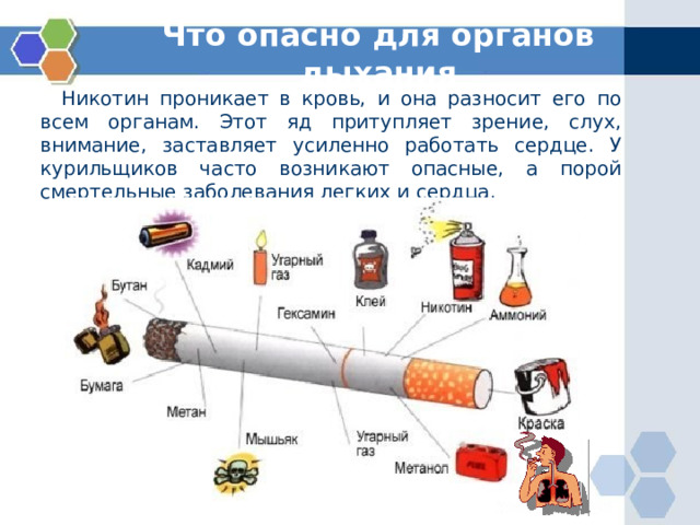 Что опасно для органов дыхания  Никотин проникает в кровь, и она разносит его по всем органам. Этот яд притупляет зрение, слух, внимание, заставляет усиленно работать сердце. У курильщиков часто возникают опасные, а порой смертельные заболевания легких и сердца. 