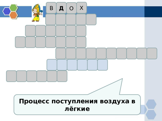 Х В Д О Процесс поступления воздуха в лёгкие 