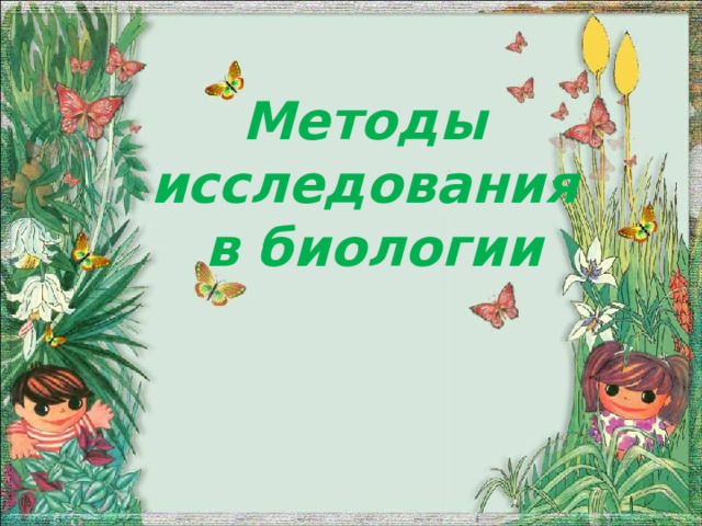 Методы  исследования  в биологии  