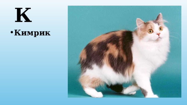 К Кимрик 