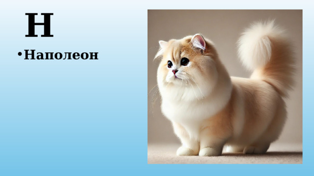 Н Наполеон 