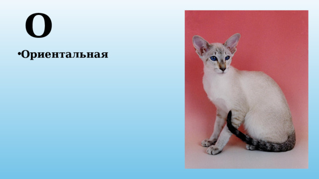 О Ориентальная 