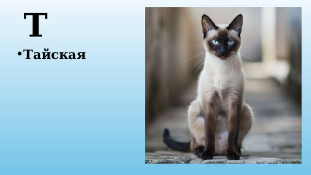 Т Тайская 