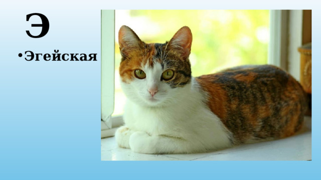 Э Эгейская 