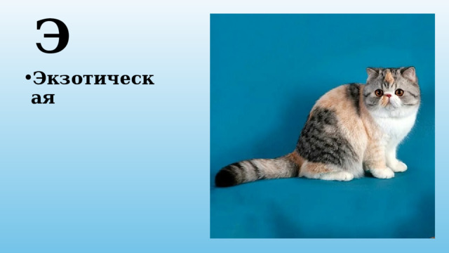 Э Экзотическая 