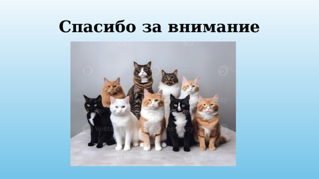 Спасибо за внимание 