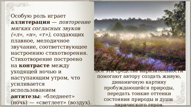 Особую роль играет  аллитерация  —  повторение мягких согласных звуков («л», «н», «т»), создающих плавное, мелодичное звучание, соответствующее настроению стихотворения. Стихотворение построено на  контрасте  между уходящей ночью и наступающим утром, что усиливается использованием  антитезы : «бледнеет» (ночь) — «светлеет» (воздух). Все эти средства выразительности помогают автору создать живую, динамичную картину пробуждающейся природы, передать тонкие оттенки состояния природы и души лирического героя. 
