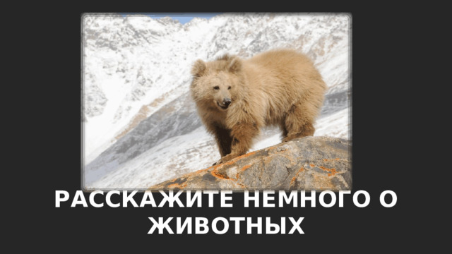 РАССКАЖИТЕ НЕМНОГО О ЖИВОТНЫХ 