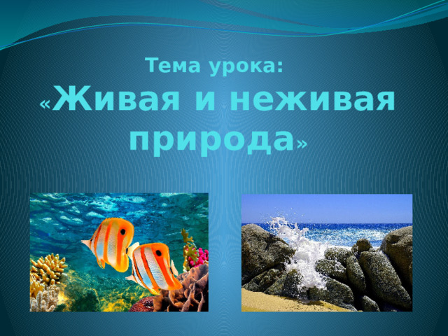 Тема урока:  « Живая и неживая природа » 