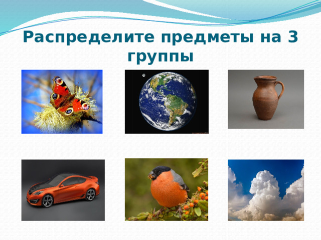 Распределите предметы на 3 группы 