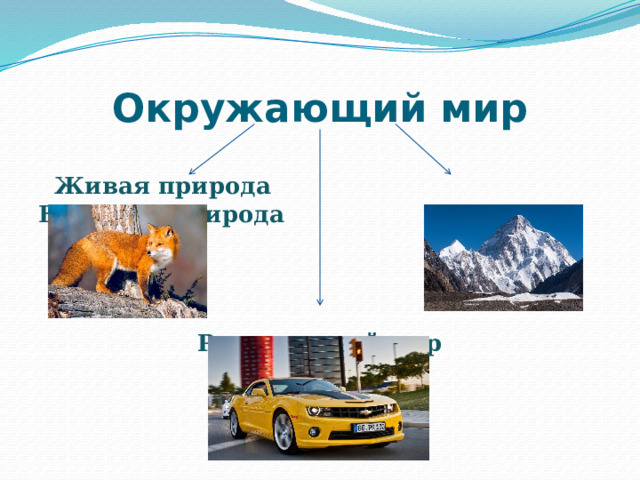 Окружающий мир  Живая природа Неживая природа    Рукотворный мир 