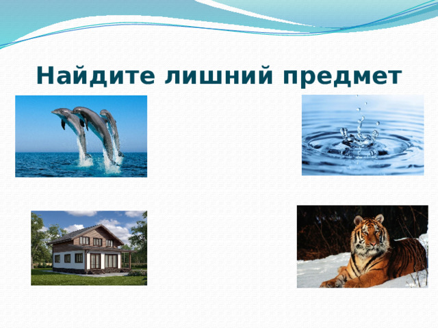 Найдите лишний предмет 