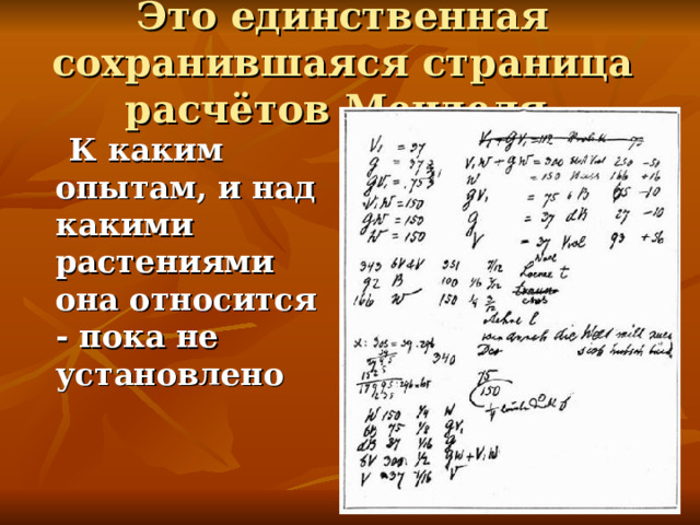 Это единственная сохранившаяся страница расчётов Менделя.  К каким опытам, и над какими растениями она относится - пока не установлено 