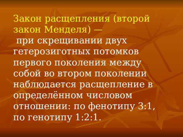 Закон расщепления (второй закон Менделя) —  при скрещивании двух гетерозиготных потомков первого поколения между собой во втором поколении наблюдается расщепление в определённом числовом отношении: по фенотипу 3:1, по генотипу 1:2:1. 