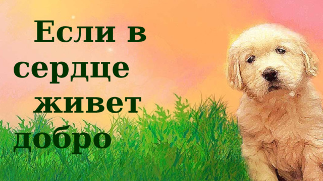  Если в сердце  живет добро 