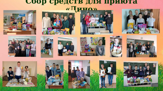 Сбор средств для приюта «Дино» 