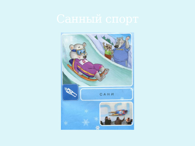 Санный спорт 