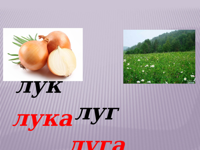 лук луг лука луга 
