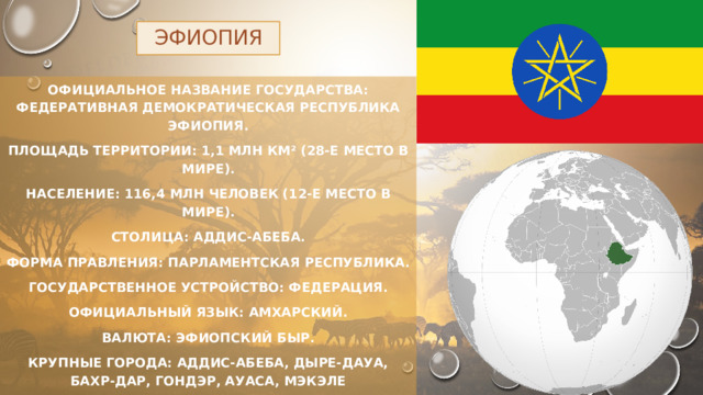 ЭФИОПИЯ Официальное название государства: Федеративная Демократическая Республика Эфиопия. Площадь территории: 1,1 млн км² (28-е место в мире). Население: 116,4 млн человек (12-е место в мире). Столица: Аддис-Абеба. Форма правления: парламентская республика. Государственное устройство: федерация. Официальный язык: амхарский. Валюта: эфиопский быр. Крупные города: Аддис-Абеба, Дыре-Дауа, Бахр-Дар, Гондэр, Ауаса, Мэкэле 