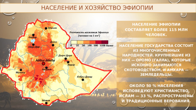 Население и хозяйство Эфиопии Население Эфиопии составляет более 115 млн человек. Население государства состоит из многочисленных народностей. Крупнейшие из них — оромо (галла), которые исконно занимаются скотоводством, и амхара — земледельцы. Около 50 % населения исповедуют христианство, ислам — 33 %, распространены и традиционные верования. 