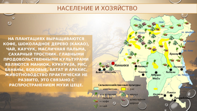 Население и хозяйство На плантациях выращиваются кофе, шоколадное дерево (какао), чай, каучук, масличная пальма, сахарный тростник. Главными продовольственными культурами являются маниок, кукуруза, рис, бананы, бобовые, батат и арахис. Животноводство практически не развито, это связано с распространением мухи цеце. 