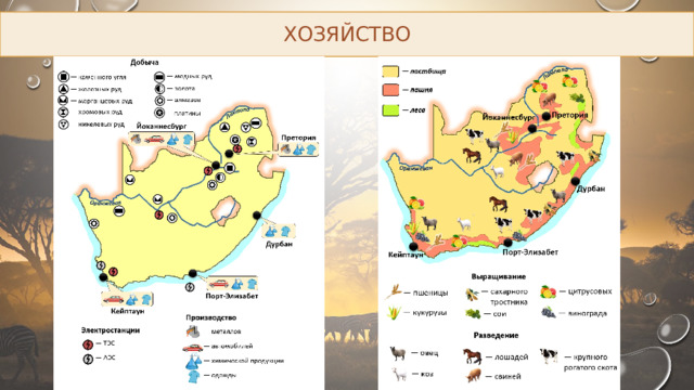 ХОЗЯЙСТВО 
