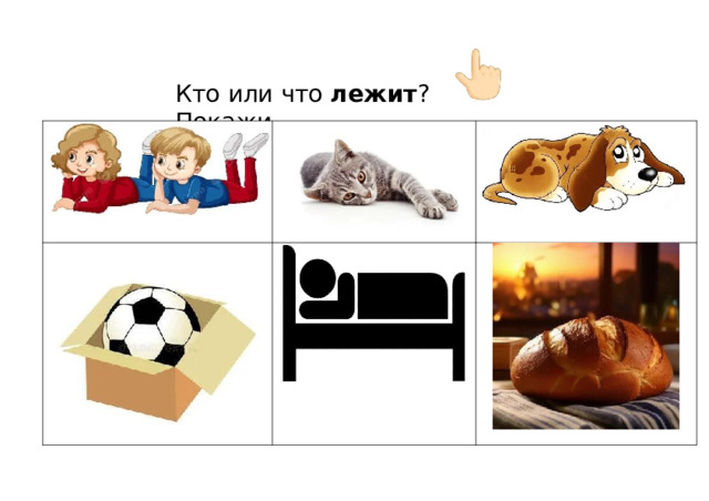 Кто  или  что  лежит ?  Покажи 